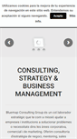Mobile Screenshot of bluemapconsulting.com